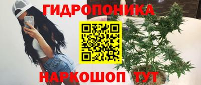 стаф Севастополь