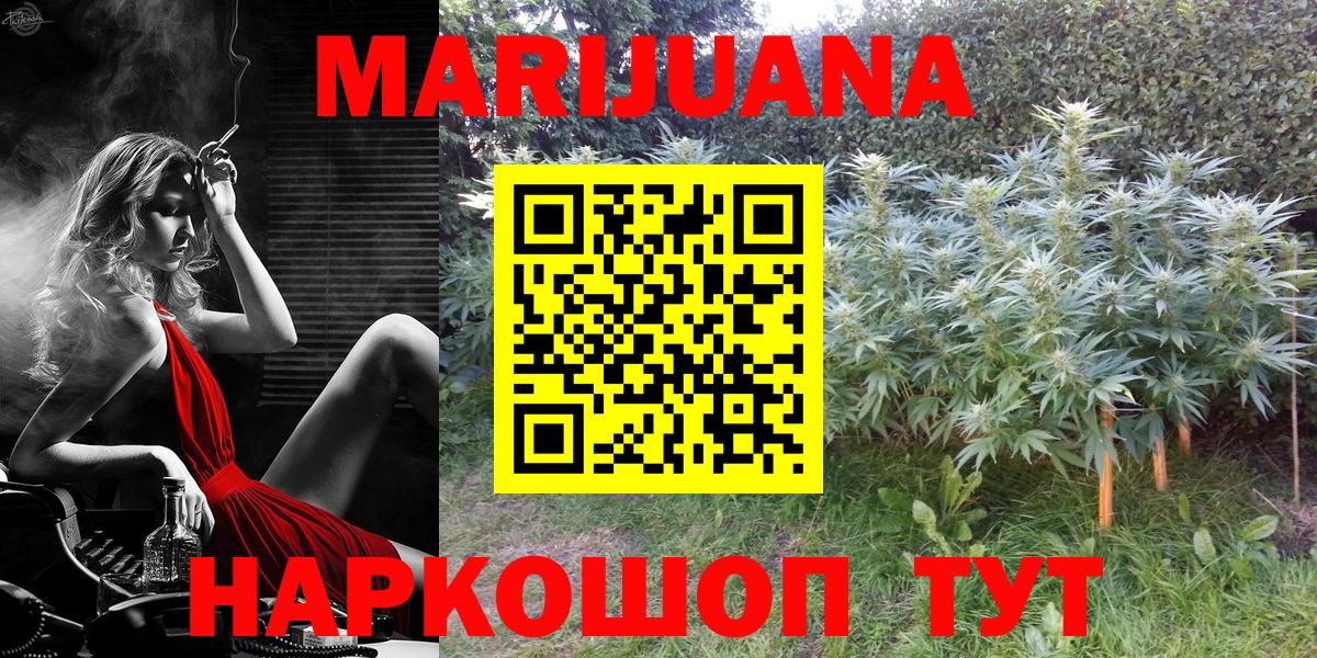 Бошки марихуана планчик  Каннабис конопля  Осинники  Шишки марихуана тримм  Вход с VPN 